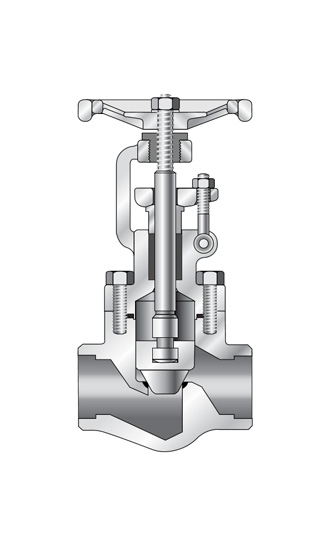 Bellows Seal Globe Valve _ Forged Steel image
